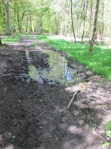 Again, muddy path