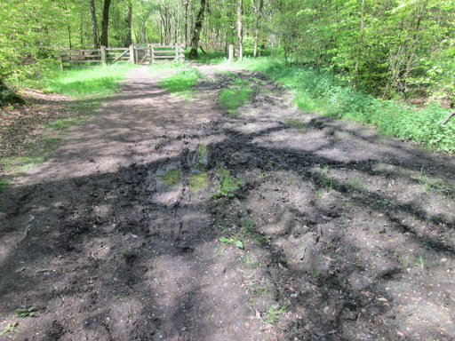 The last muddy path